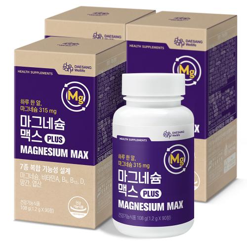 마그네슘 맥스 (1.2 g×90정)X3 /270일분