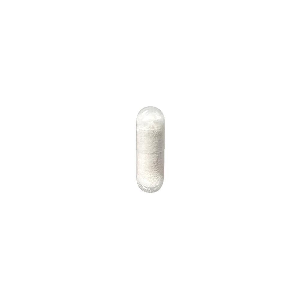 락피도 프로바이오틱스 슈퍼패스 (60캡슐) /60일분_4