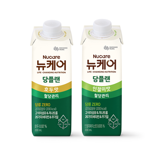 당플랜 호두맛 200ml (24팩) + 인절미맛 200ml (24팩) 
